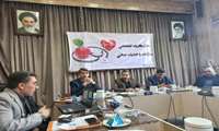 لزوم انسجام دستگاه های متولی در جلوگیری از جولان سگهای ولگرد در تویسرکان 
