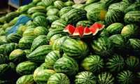 توصیه ‌های تغذیه ای برای گرمازدگی؛
