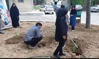 برگزاری آئین کاشت نهال و نامگذاری به نام پاک فرزندان بدنیا آمده به مناسبت فرا رسیدن هفته جمعیت