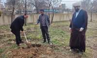 کاشت نهال به نیت شهدا در مرکز بهداشت تویسرکان